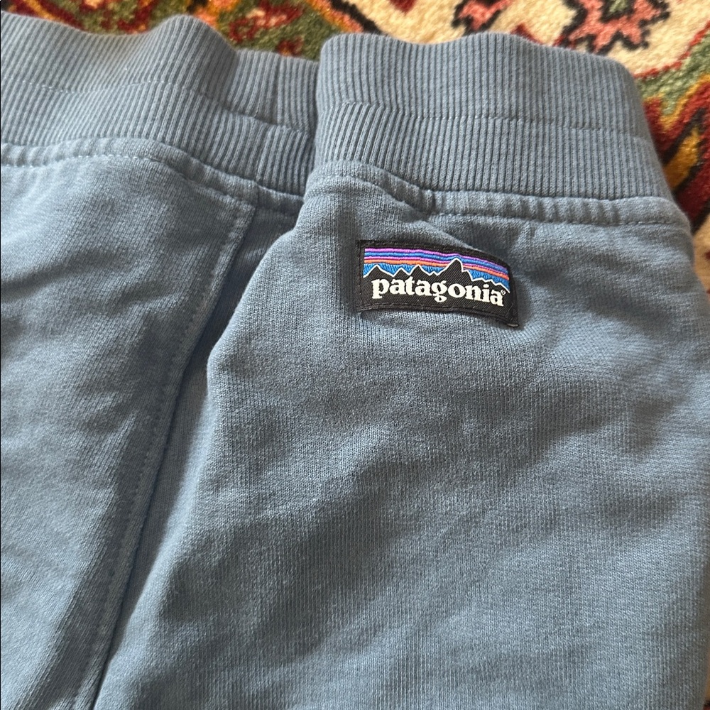 NWOT Patagonia jogger sweatpants 3T